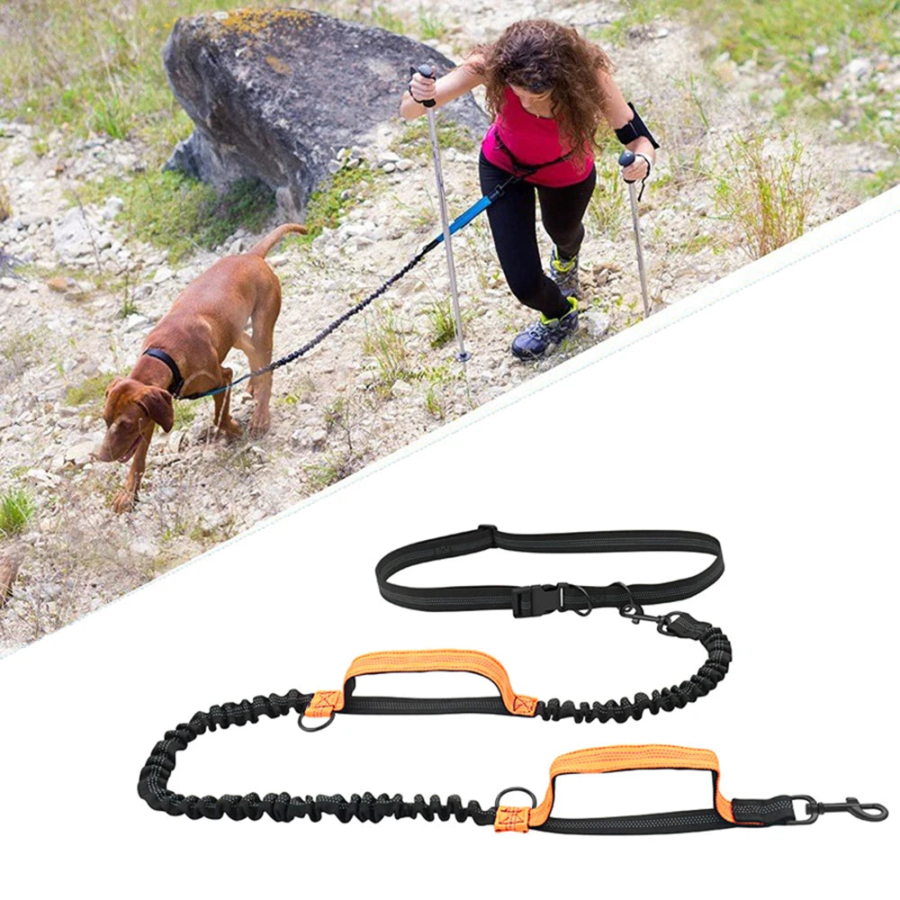 2M Retractable Dog Leash Hands Free